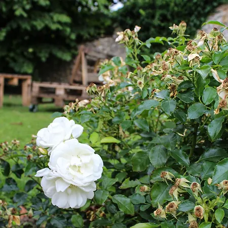 Panzió Reve Champenois D'hotes 3*