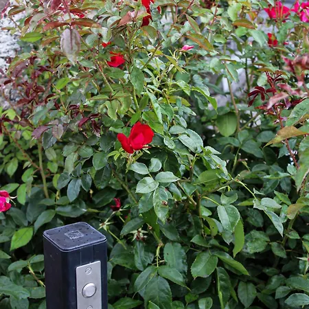 Bed and breakfast Reve Champenois D'hotes Rilly-la-Montagne