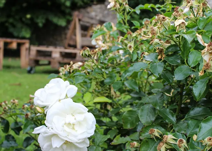 Bed & Breakfast Reve Champenois D'hotes 3*