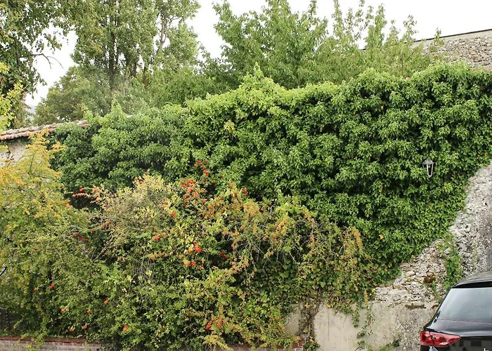 Reve Champenois D'hotes Rilly-la-Montagne