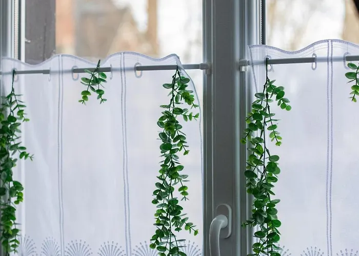 Bed & Breakfast Reve Champenois D'hotes 3*